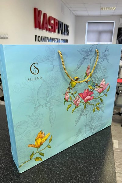 Пакет из картона